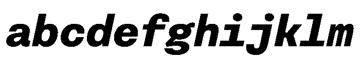 FAIRESprigSansMono BlackItalic Instance FONT