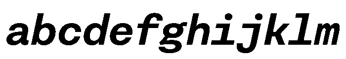 FAIRESprigSansMono BoldItalic Instance FONT