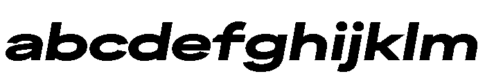 FactorA Black100Italic FONT