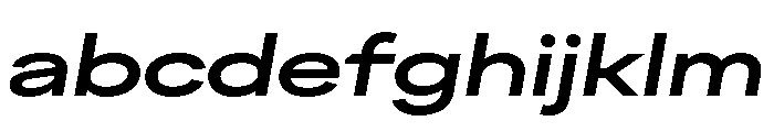 FactorA Bold100Italic FONT