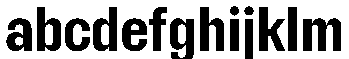 Fason Bold Instance FONT