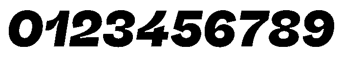 Fazer MasterTrial ExtraBoldItalic Font OTHER CHARS