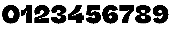 Fazer MasterTrial Heavy Font OTHER CHARS