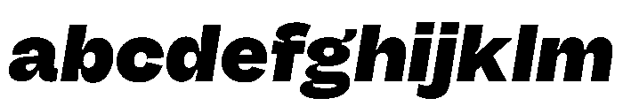 Fazer MasterTrial HeavyItalic FONT