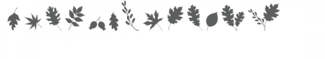 fall leaf 2 dingbats font Font LOWERCASE