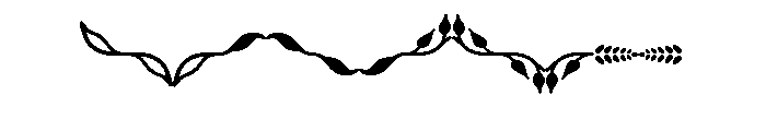 Fairwater Design Elements Nature Font LOWERCASE