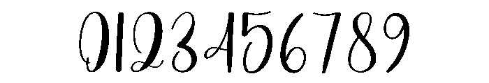 Feather Signature Font OTHER CHARS