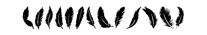 Feathered Summer FONT