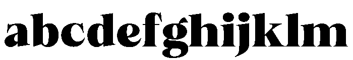 Felgiora Black Expanded FONT