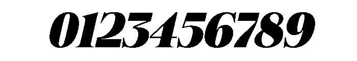 Felgiora Black Italic Expanded Font OTHER CHARS