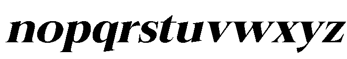 Felgiora Bold Ita ExtExp Font LOWERCASE