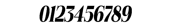 Felgiora Bold Ita ExtraCond Font OTHER CHARS