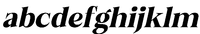 Felgiora Bold Ita SemExp FONT