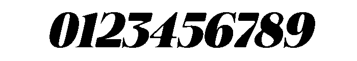 Felgiora Soft Black Exp Ita Font OTHER CHARS