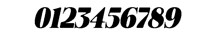 Felgiora Soft Black Italic Font OTHER CHARS