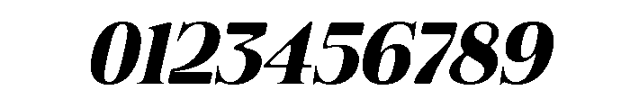 Felgiora Soft Bold Exp Ita Font OTHER CHARS
