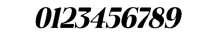 Felgiora Soft Bold Italic Font OTHER CHARS