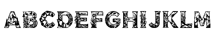 Fermin Regular FONT