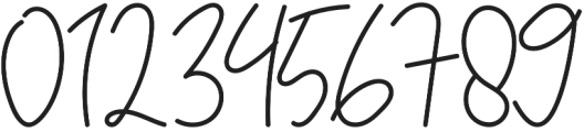 Felicia Signature Script otf (400) Font OTHER CHARS