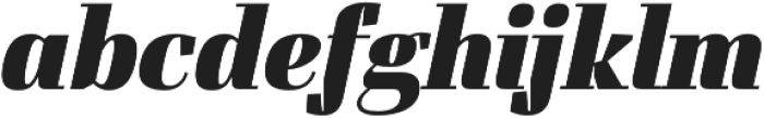 FelisOblique otf (900) Font LOWERCASE