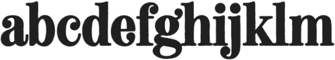 Fenir Serif Regular otf (400) FONT