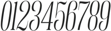 Fenoura Condensed Slant otf (400) Font OTHER CHARS