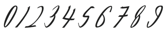Feraldine Script Regular otf (400) Font OTHER CHARS