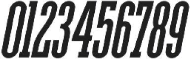 Ferguson Condensed Bold Italic otf (700) Font OTHER CHARS