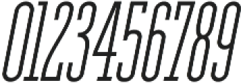 Ferguson Condensed Light Italic otf (300) Font OTHER CHARS