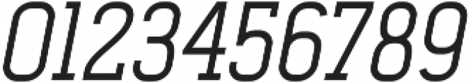 Ferguson Italic otf (400) Font OTHER CHARS