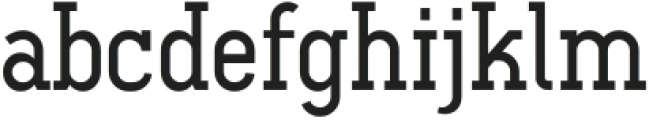 Ferguson Medium otf (500) Font LOWERCASE