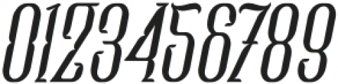 FernolesterInStyle-Italic otf (400) Font OTHER CHARS
