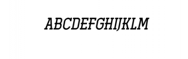 Ferguson Medium Italic.ttf Font UPPERCASE