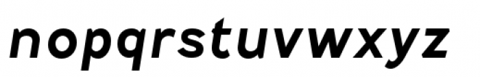 Fenwick Bold Italic Font LOWERCASE