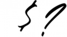 Felisha Roseland Script Font Font OTHER CHARS