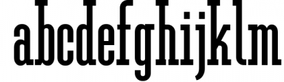 Ferguson Slab Font Family 10 Font LOWERCASE