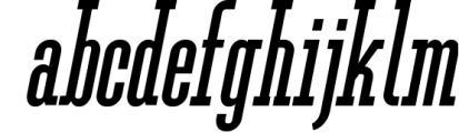 Ferguson Slab Font Family 11 Font LOWERCASE