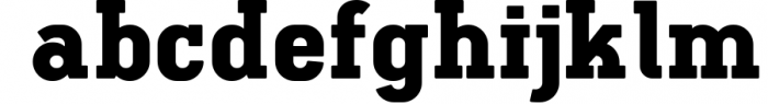 Ferguson Slab Font Family 12 Font LOWERCASE