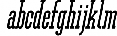 Ferguson Slab Font Family 13 Font LOWERCASE