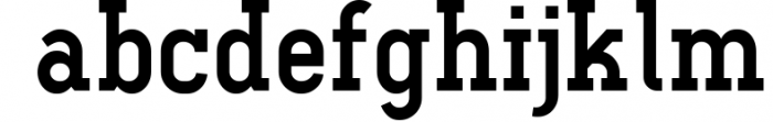 Ferguson Slab Font Family 1 Font LOWERCASE