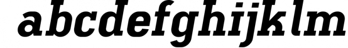Ferguson Slab Font Family 2 Font LOWERCASE