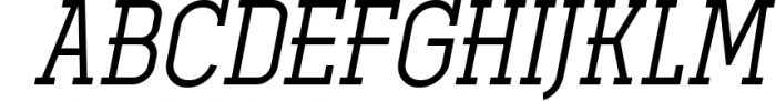 Ferguson Slab Font Family 4 Font UPPERCASE