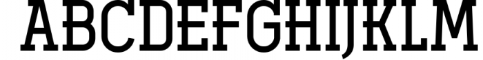 Ferguson Slab Font Family 7 Font UPPERCASE