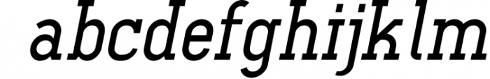 Ferguson Slab Font Family 8 Font LOWERCASE