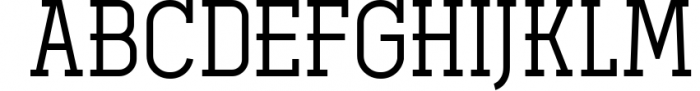Ferguson Slab Font Family 9 Font UPPERCASE