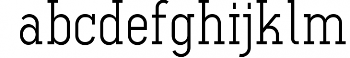 Ferguson Slab Font Family 9 Font LOWERCASE