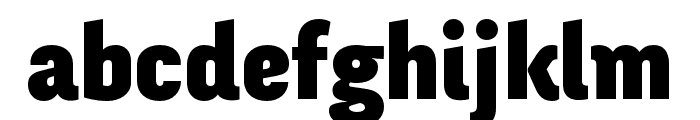FengardoNeue-Black Font LOWERCASE
