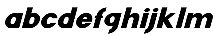 FenordFree-Italic Font LOWERCASE