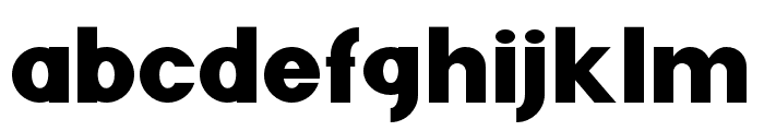 FenordFree-Regular Font LOWERCASE