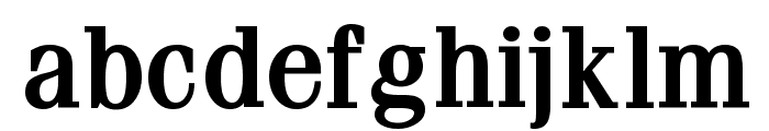 Feline Bold Font LOWERCASE